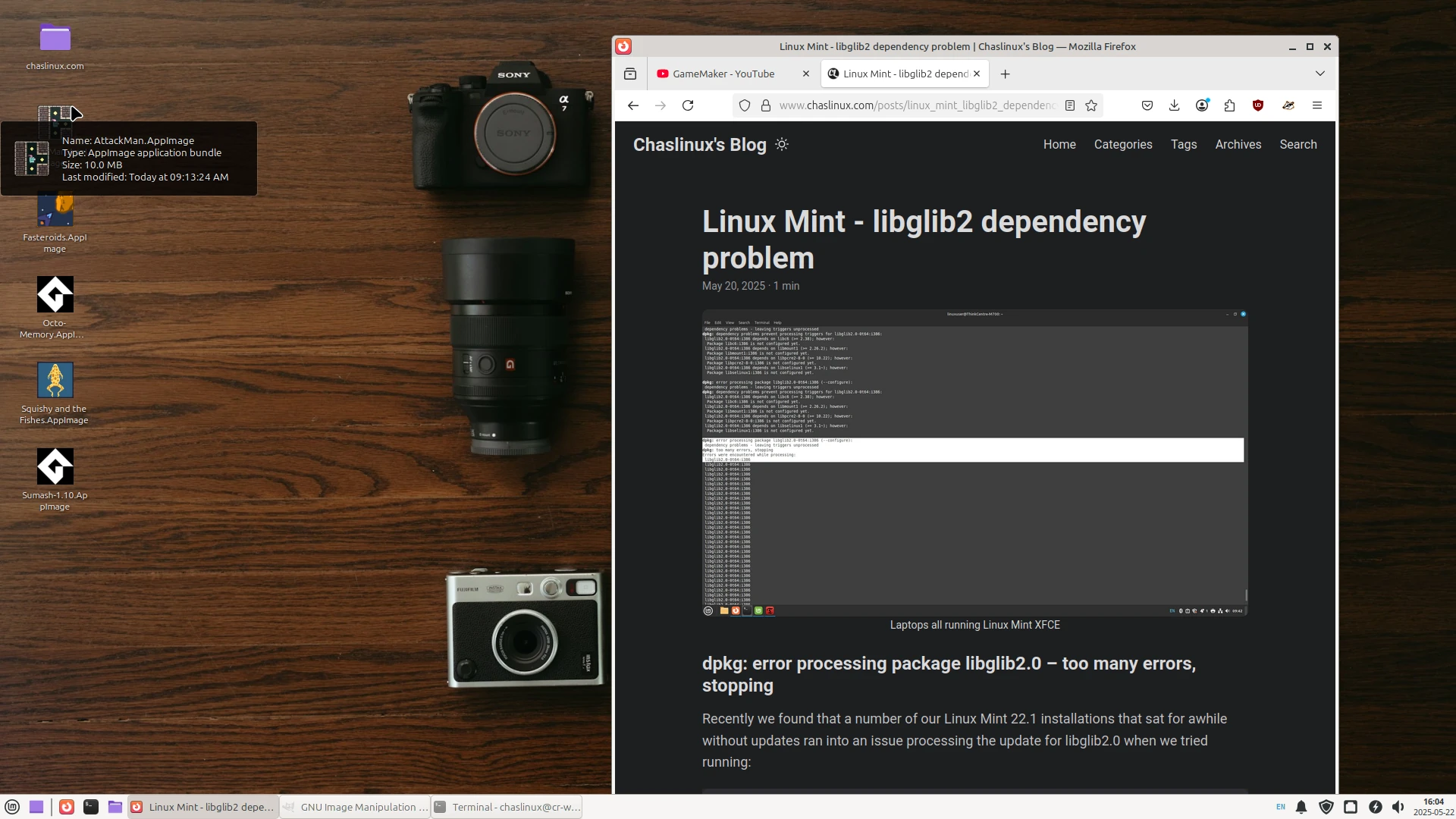 Linux Mint 22.1 XFCE shows AppImages with embedded icons.