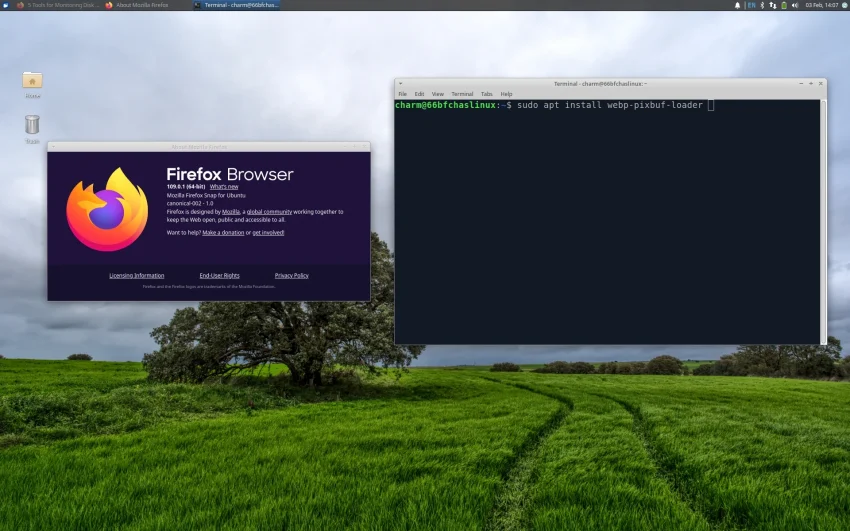 Installing webp support in Xubuntu